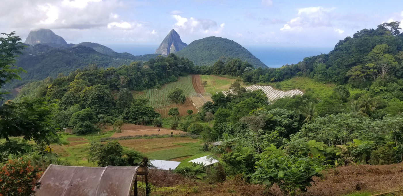 View west of the Pitons and the farm that we visited