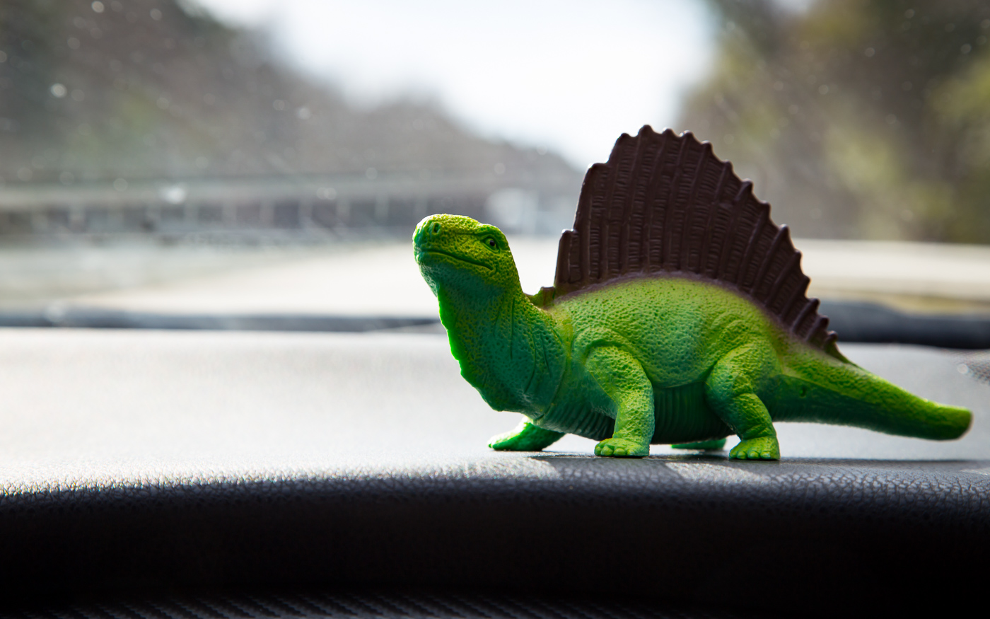 This is Russell, my dash dino who judged my driving. He eventually escaped via the passenger window.